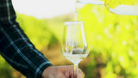 Pouring-white-wine-in-a-glass-on-a-vineyard-background