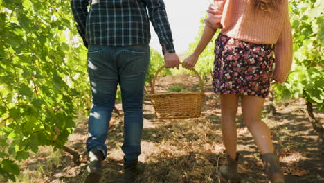 Back-view-close-up-of-man-and-woman-carrying-a-basket-with-grapes