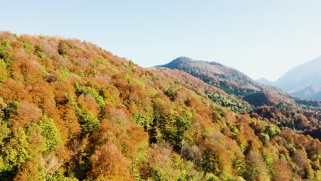 Drohne-Fliegt-An-Einem-Sonnigen-Herbsttag-über-Einen-Wunderschönen-Bunten-Wald