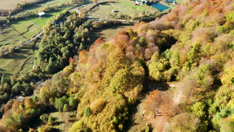 Drone-flying-over-beautiful-forest-with-golden-colours