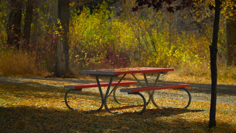 Picknicktisch-Mit-Fallenden-Herbstblättern.-Zeitlupe