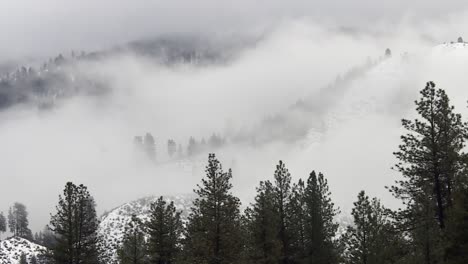 Neblige-Bergwälder,-Boise-National-Forest-In-Idaho,-USA