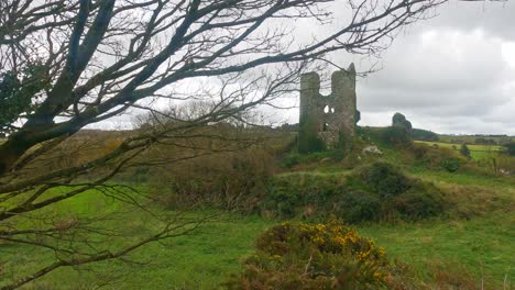 Ruined-castle-from-a-distance-with-branches-and-bushes-on-a-winter-day-in-Ireland,Dunhill-Castle-Waterford