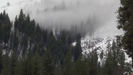 Gloomy-Atmosphere-Of-Forest-Mountains-During-Winter-In-Boise-National-Forest,-Idaho,-USA