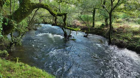 Rushing-River-In-Tropical-Forest-Hike-Of-Carballeira-Municipal-de-Baio,-Spain