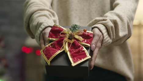 Close-up-of-young-woman-holding-a-christmas-gift