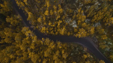 Bird's-eye-view-over-dark-narrow-Alpine-loop-road-among-yellow-fall-forest