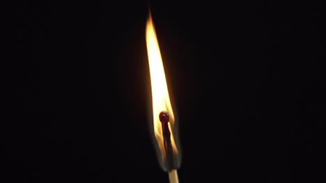 Close-up-lucifer-stick-with-burning-flame,-black-screen-background