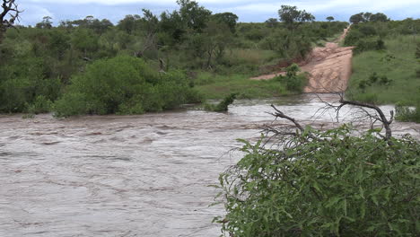 Flash-flood-water-flows-through-lowveld-nature-in-South-Africa