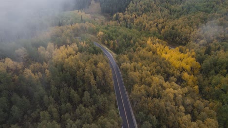 Drone-View-of-Paved-Road-Through-Forest-in-American-Fork-Canyon