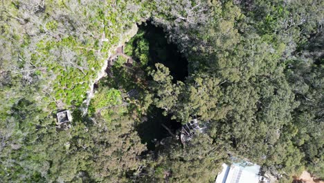 Vista-Aérea-Superior-De-La-Atracción-De-La-Cueva-Del-Lago-En-El-Bosque,-Australia