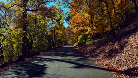 A-low-angle-view-of-a-quiet-country-road-with-colorful-trees-in-autumn-on-a-sunny-morning