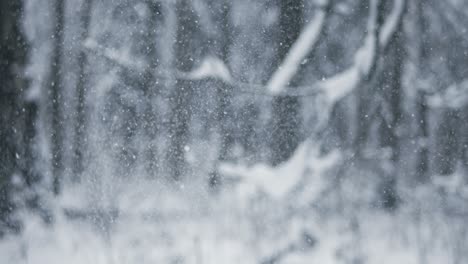 Winter-landscape-during-snowfall.-Winter-Christmas-abstract-background-on-super-slow-motion.