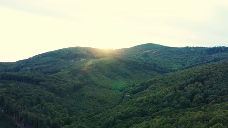 Luftaufnahme-Des-Sonnenuntergangs-über-Einem-Wunderschönen-Grünen-Wald