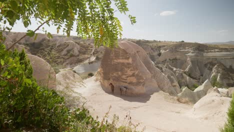 Tourist-horses-shelter-under-large-sandstone-rock-Cappadocia-landscape