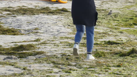 Person-in-a-blue-coat-walking-along-a-seaweed-strewn-beach