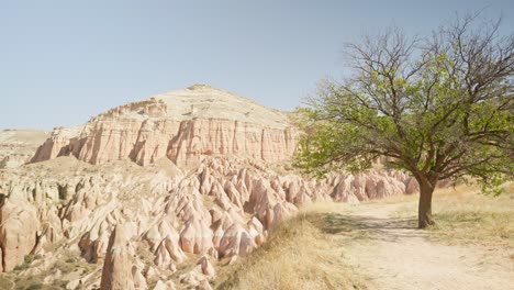 Sandstone-tuff-rock-formations-red-valley-Cappadocia-pan-shot