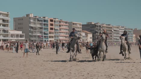 Bullfight-and-horses-on-the-beach-of-Palavas-Les-Flots-as-part-of-the-city-autumn-fair,-Herault,-France