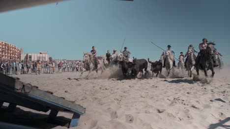 Men-on-horses-performing-with-bulls-on-the-Palavas-beach-in-southern-France,-Tourist-event
