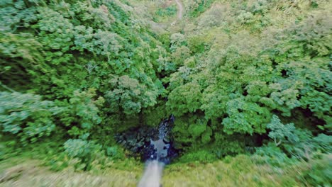 FPV-drone-flight-in-deep-jungle-of-Bonao-with-Rodeo-Waterfall-during-sunny-day