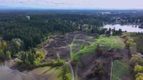 Burned-Ground-After-Wildfire-In-Fort-Steilacoom-Park-In-Lakewood,-Washington,-USA