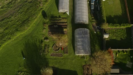 Aerial-top-down-of-a-vegetable-garden-with-polytunnels-beside-the-main-road