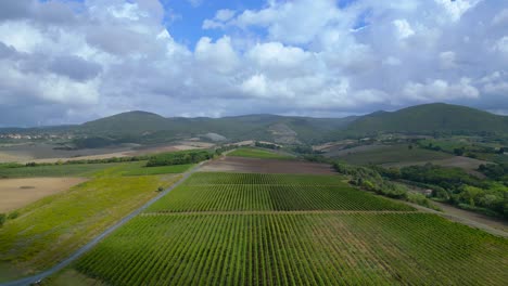 Smooth-aerial-top-view-flight-meditative-LandscapeTuscany-Wine-field-valley-Italy-fall