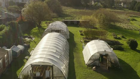 Aerial-flying-over-greenhouses-on-a-community-garden-field