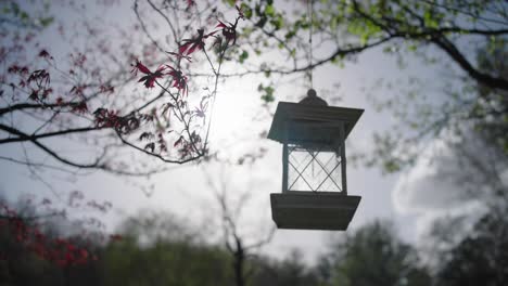 Hanging-bird-feeder-with-sky-and-trees-in-background-and-no-birds