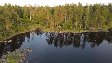 Drohnenaufnahmen-Eines-Südlichen-Schwedischen-Tiefwaldsees-Im-Goldenen-Stundenlicht