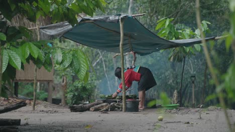 Static-Shot-of-a-indigenous-woman-preparing-lunch-over-a-little-hut-in-the-jungle