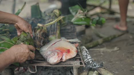 Fish-over-an-open-fire-and-some-hands-putting-wrapped-leaves-next-to-it,-Peruvian-jungle