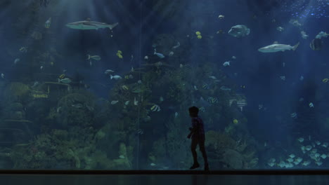 Children-silhouettes-against-huge-aquarium