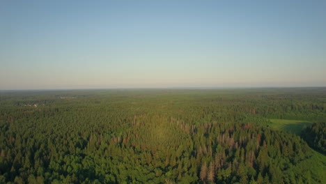 Flying-over-vast-green-woods-in-Russia