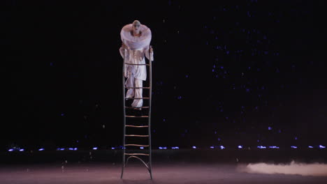 Equilibrist-performing-in-the-circus