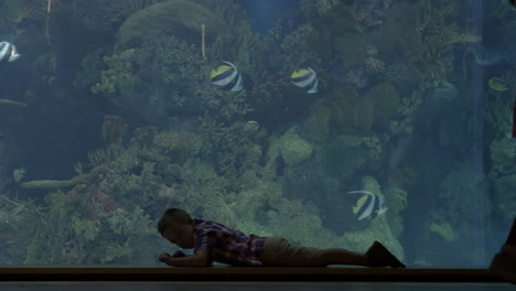 Child-crawling-near-the-big-aquarium
