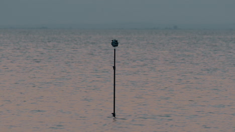 Stativ-Mit-Kameras,-Die-Eine-360-Grad-Meeresszene-Aufnehmen
