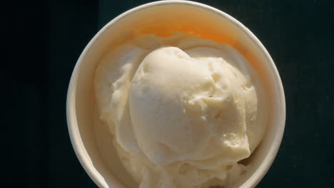 Appetizing-vanilla-cream-ice