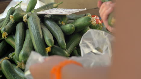 Woman-buying-cucumbers-on-the-market