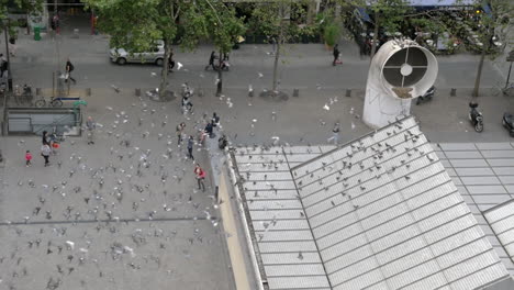 A-great-number-of-pigeons-flying-around-square-in-Paris