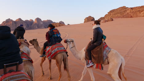 Guided-tour-through-Valley-of-the-Moon,-camel-ride