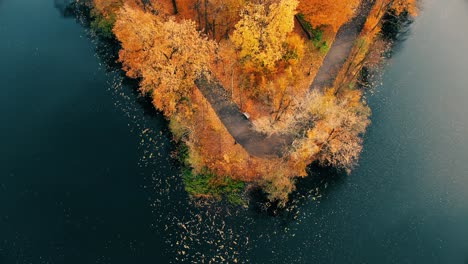 AERIAL-forest-in-amazing-autumn-shades-with-road-hiding-under-treetops