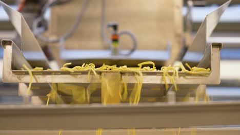 Mass-production-of-noodles