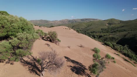 Aerial-trucking-pan-of-barren-scrappy-trees-rooted-in-sand-dunes-of-Lemnos
