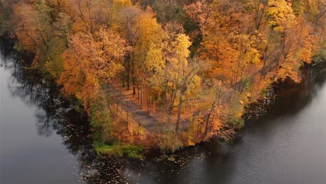 AERIAL-forest-in-amazing-autumn-shades-with-road-hiding-under-treetops