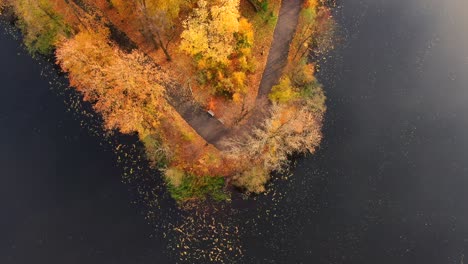 Luftwald-In-Erstaunlichen-Herbsttönen-Mit-Einer-Straße,-Die-Sich-Unter-Baumwipfeln-Versteckt