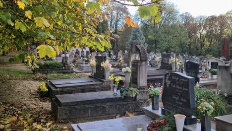 Panning-Shot-of-a-Graveyard-In-Eastern-Europe