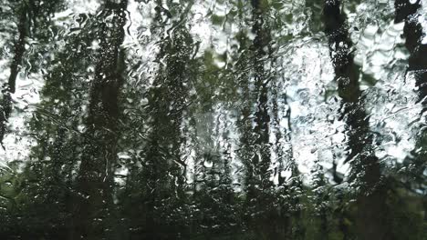 Watching-rain-running-through-a-car-windscreen-after-a-storm,-The-patterns-making-the-trees-look-unreal