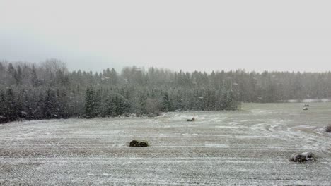 Luftdrohnenaufnahmen-Der-Landschaft-In-Schweden-Während-Eines-Schneesturms-Mit-Schneesturmbedingungen