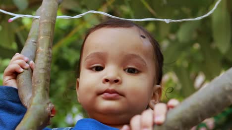 innocent-infant-holding-tree-branch-with-cute-facial-expression-at-day-from-flat-angle